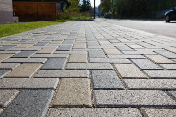 Best Driveway Paving Contractor  in Web, AL